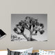 Joshua Tree Bw Wall Decal