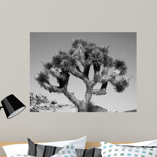 Joshua Tree Bw Wall Decal