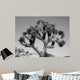 Joshua Tree Bw Wall Decal