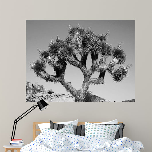 Joshua Tree Bw Wall Decal
