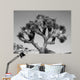 Joshua Tree Bw Wall Decal
