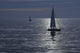 Sailboats Blue Wall Decal