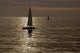 Sailboats Copper Wall Decal