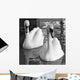 Swans Love Bw Wall Decal