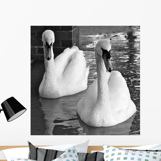 Swans Love Bw Wall Decal