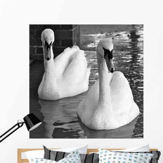 Swans Love Bw Wall Decal