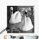 Swans Love Bw Wall Decal