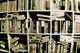 Books Shelves Wall Decal