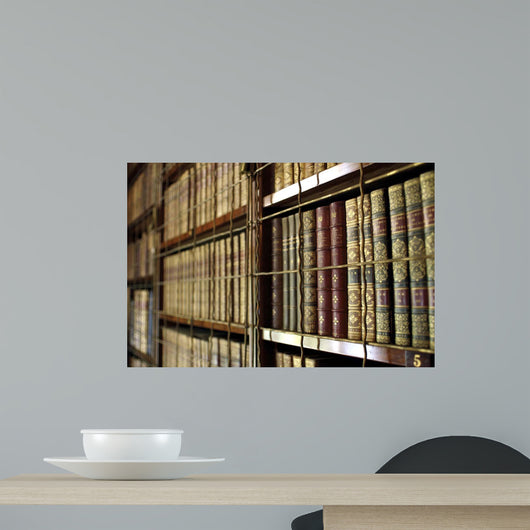 Library Bookcases Wall Decal