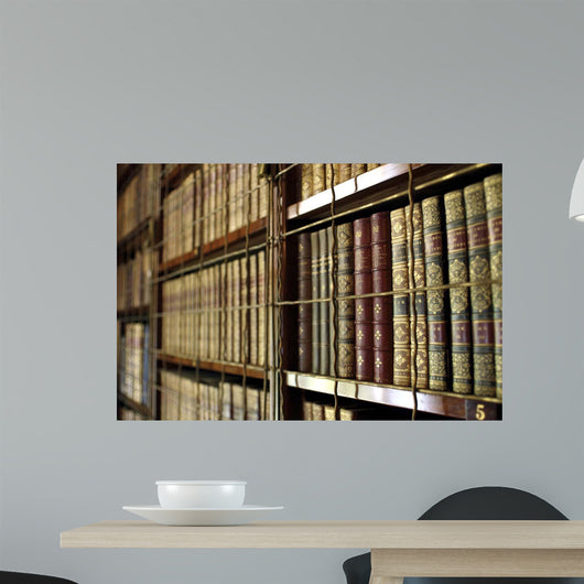 Library Bookcases Wall Decal