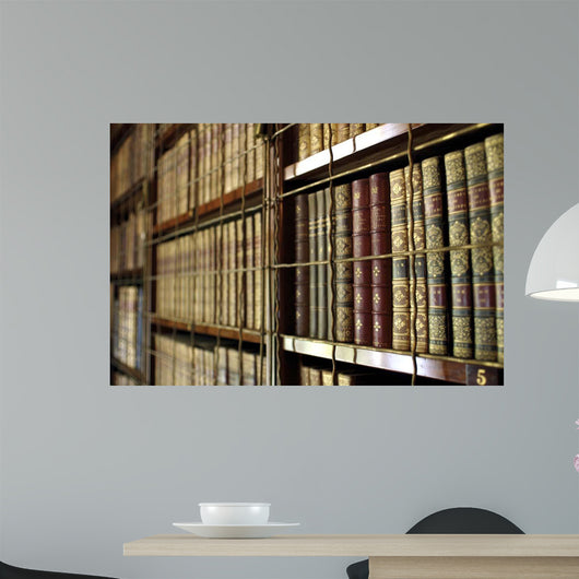 Library Bookcases Wall Decal