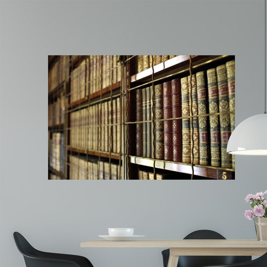 Library Bookcases Wall Decal
