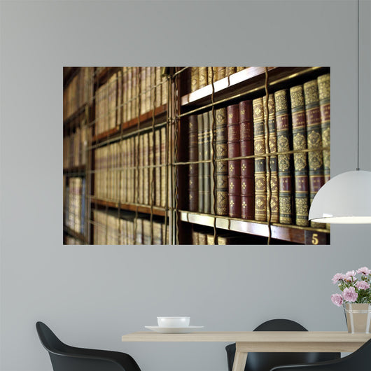 Library Bookcases Wall Decal