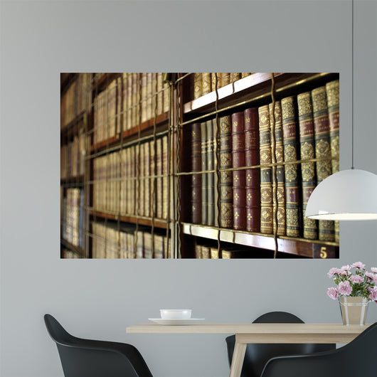 Library Bookcases Wall Decal