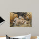 African Lion Family Wall Decal