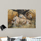 African Lion Family Wall Decal