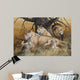 African Lion Family Wall Decal