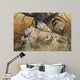 African Lion Family Wall Decal