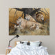 African Lion Family Wall Decal