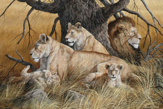 African Lion Family Wall Decal