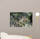Decorator Crab Indonesia Wall Decal