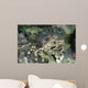 Decorator Crab Indonesia Wall Decal