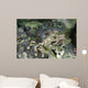 Decorator Crab Indonesia Wall Decal