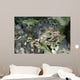 Decorator Crab Indonesia Wall Decal
