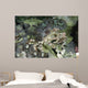 Decorator Crab Indonesia Wall Decal
