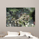 Decorator Crab Indonesia Wall Decal