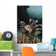 Lionfish Indonesia Wall Decal Design 2