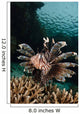 Lionfish Indonesia Wall Decal Design 2