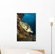 Map Pufferfish Indonesia Wall Decal