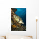 Map Pufferfish Indonesia Wall Decal