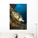 Map Pufferfish Indonesia Wall Decal