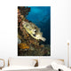 Map Pufferfish Indonesia Wall Decal