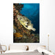 Map Pufferfish Indonesia Wall Decal