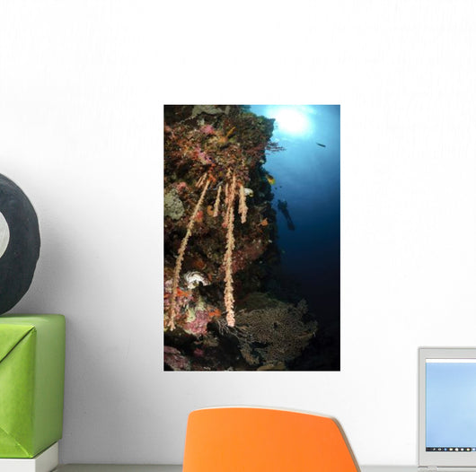 Soft Coral Reef Indonesia Wall Decal