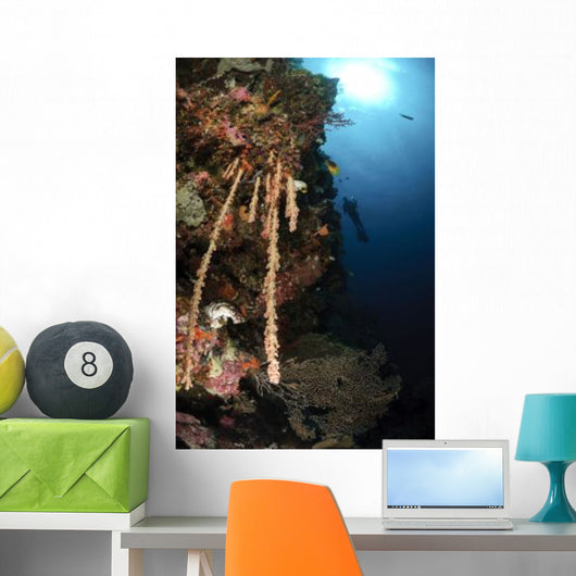 Soft Coral Reef Indonesia Wall Decal