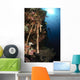 Soft Coral Reef Indonesia Wall Decal