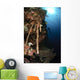 Soft Coral Reef Indonesia Wall Decal
