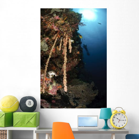 Soft Coral Reef Indonesia Wall Decal