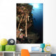 Soft Coral Reef Indonesia Wall Decal