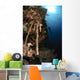 Soft Coral Reef Indonesia Wall Decal