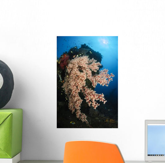 Soft Coral Liberty Wreck Wall Decal