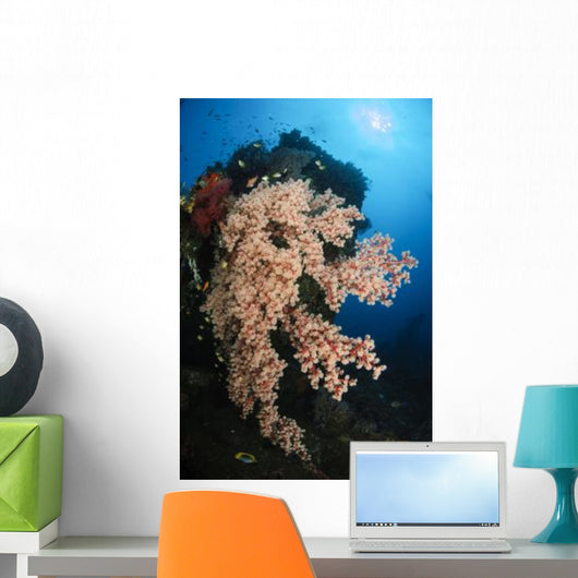 Soft Coral Liberty Wreck Wall Decal