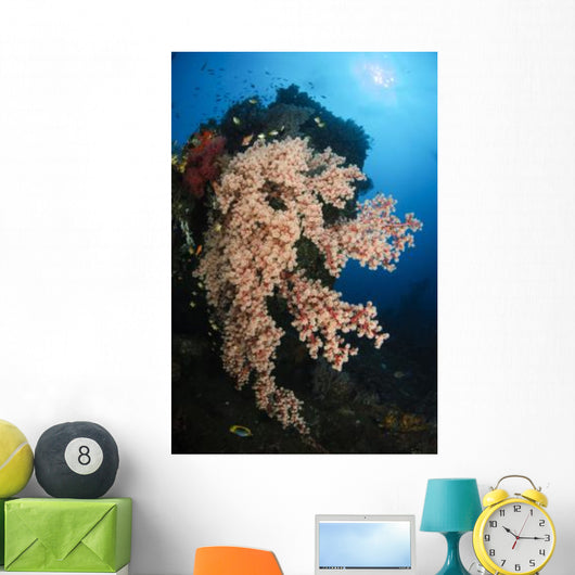 Soft Coral Liberty Wreck Wall Decal