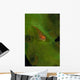 Goby Coral Australia Wall Decal