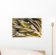 Clingfish Crinoid Australia Wall Decal