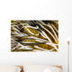 Clingfish Crinoid Australia Wall Decal